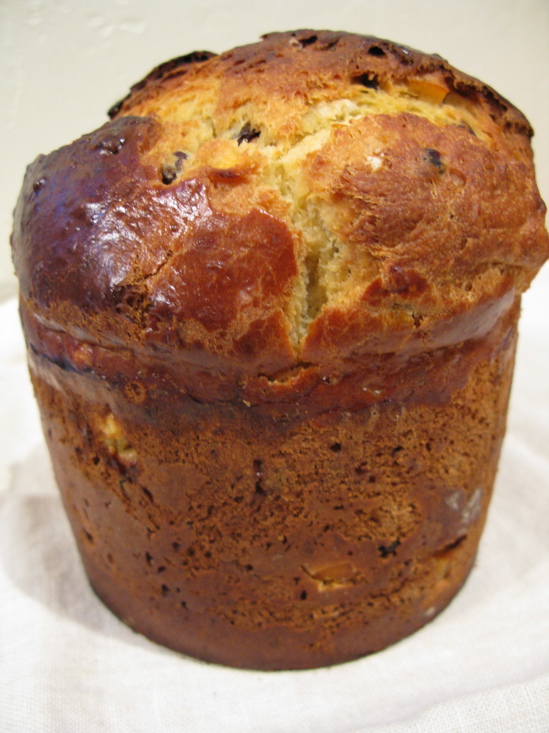 Panettone for Christmas | THE SKILLET CHRONICLES