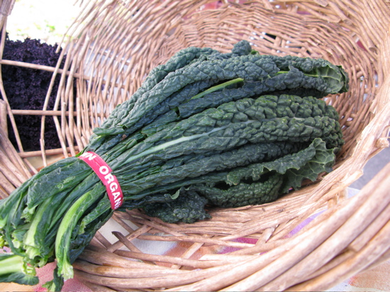 kaleinbasket kaleinbasket