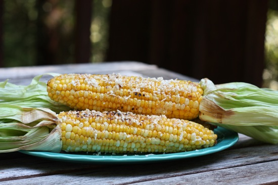 corn1