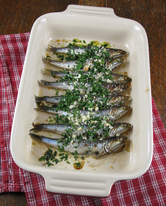 sardines